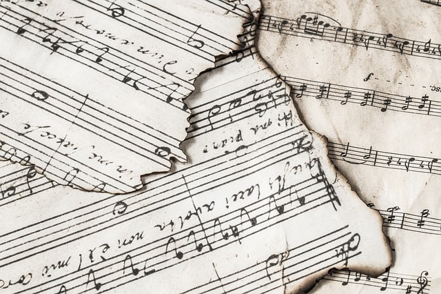 Cómo se llama el tocar el violín con los dedos