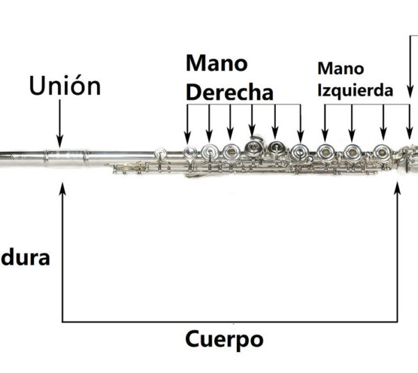 Las diferentes partes de una flauta: Anatomía y Estructura