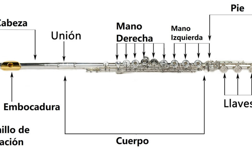 Las diferentes partes de una flauta: AnatomÃa y Estructura